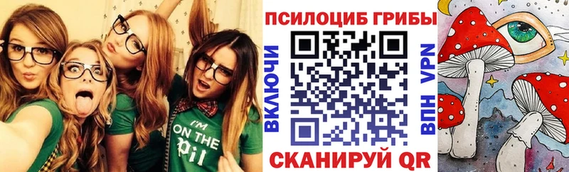 Галлюциногенные грибы GOLDEN TEACHER  наркотики  Губаха 